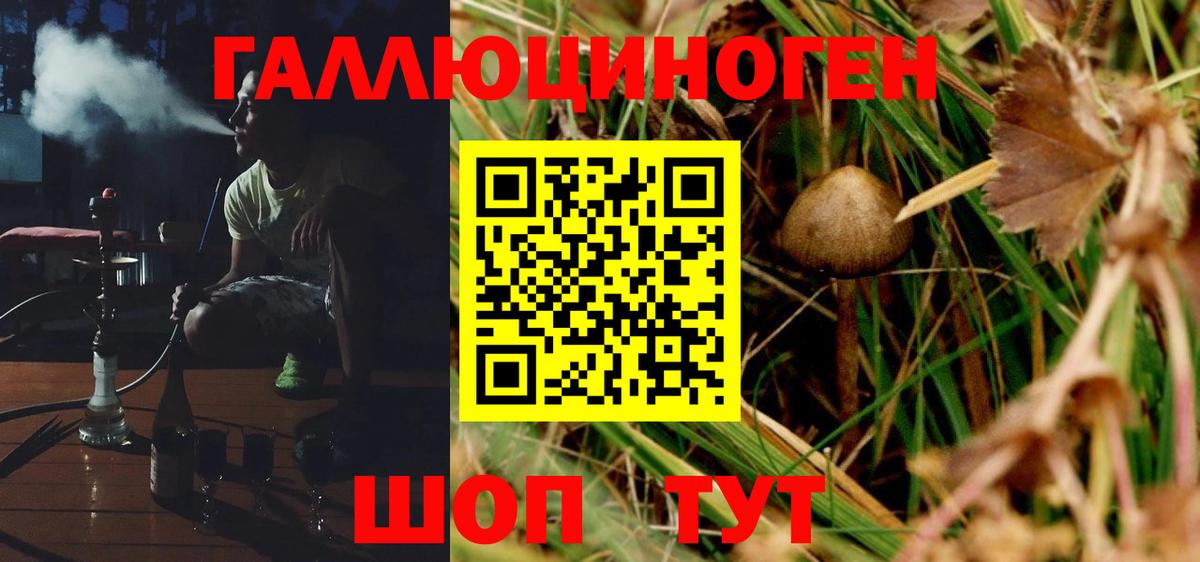 Галлюциногенные грибы Magic Shrooms  Вход с VPN  Всеволожск  Галлюциногенные грибы MAGIC MUSHROOMS 